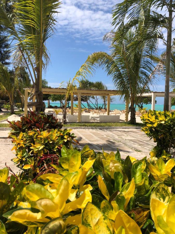 Jambo Beach Hotel Paje Eksteriør billede